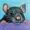 FunkRatt's icon