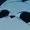 Shika-Valid's icon