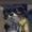 Captain-Tanuki's icon