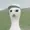 soraruno's icon