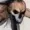 volitile7's icon