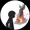 Picohi's icon