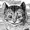 witheachmutation's icon