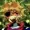 maggotska's icon