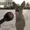 HolyyGuacamole's icon