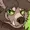 astraltides's icon
