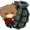 Toriakilla's icon