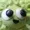 moonneco's icon