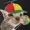 Neko-Toast's icon