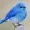 Bluebird1546's icon