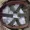 ONIONDWANIMATR1233's icon