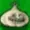 TheGrinningOnion's icon