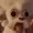 bolapal's icon