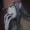 KinBriar's icon