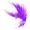 StarRavens's icon
