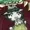 tontenga's icon