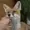 BlindTheo21's icon