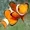 CRAAP's icon