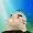 gristlegroink's icon
