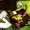 minkymashcore's icon