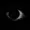 UnndeadCat's icon