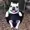 funkyboiii's icon