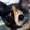 kirpi4iks's icon