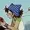 Merupe's icon