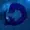 XLDRAGON's icon