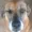 sharpObject1's icon