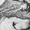 9viq's icon