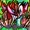 ojamaroadtv's icon