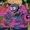 SHAMOR00ST's icon