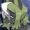 CrotoFrotoK9's icon