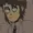 Upyssrs's icon