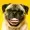 Wh0UrDd's icon