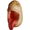 aapmfr's icon
