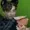 TrainWreckGD's icon