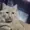 Floosh3's icon
