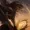 Saffire19288's icon