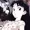 515Pluto's icon