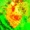 SchmiyitBuyit's icon