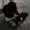 serene-mellow's icon