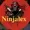 2NinjalexYT's icon