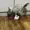 qzertyqwerty's icon
