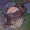 Murmur-to-a-Moth's icon