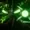 MushSkeleton's icon