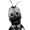 FleppeituJerkigys's icon