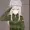 FordDeltran's icon
