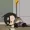 kikee875's icon